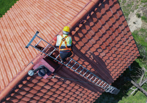 Best Gutter Replacement  in Lincoln, IL