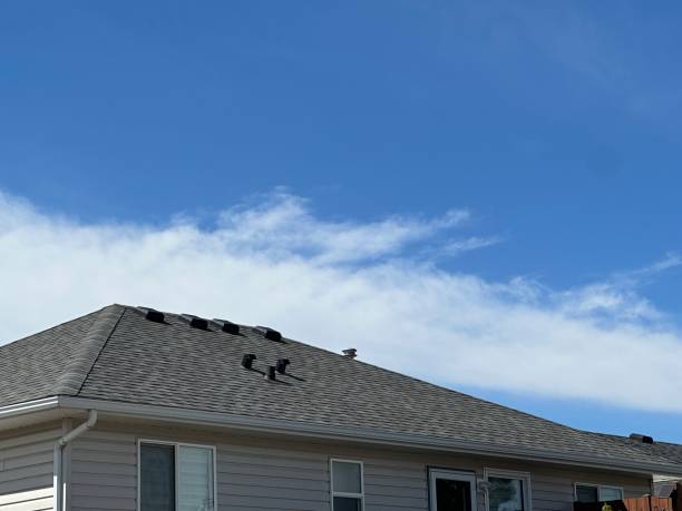 Best Solar Panel Roofing Installation  in Lincoln, IL